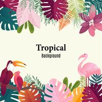 Summer tropical banner palm leaves birds vector image.