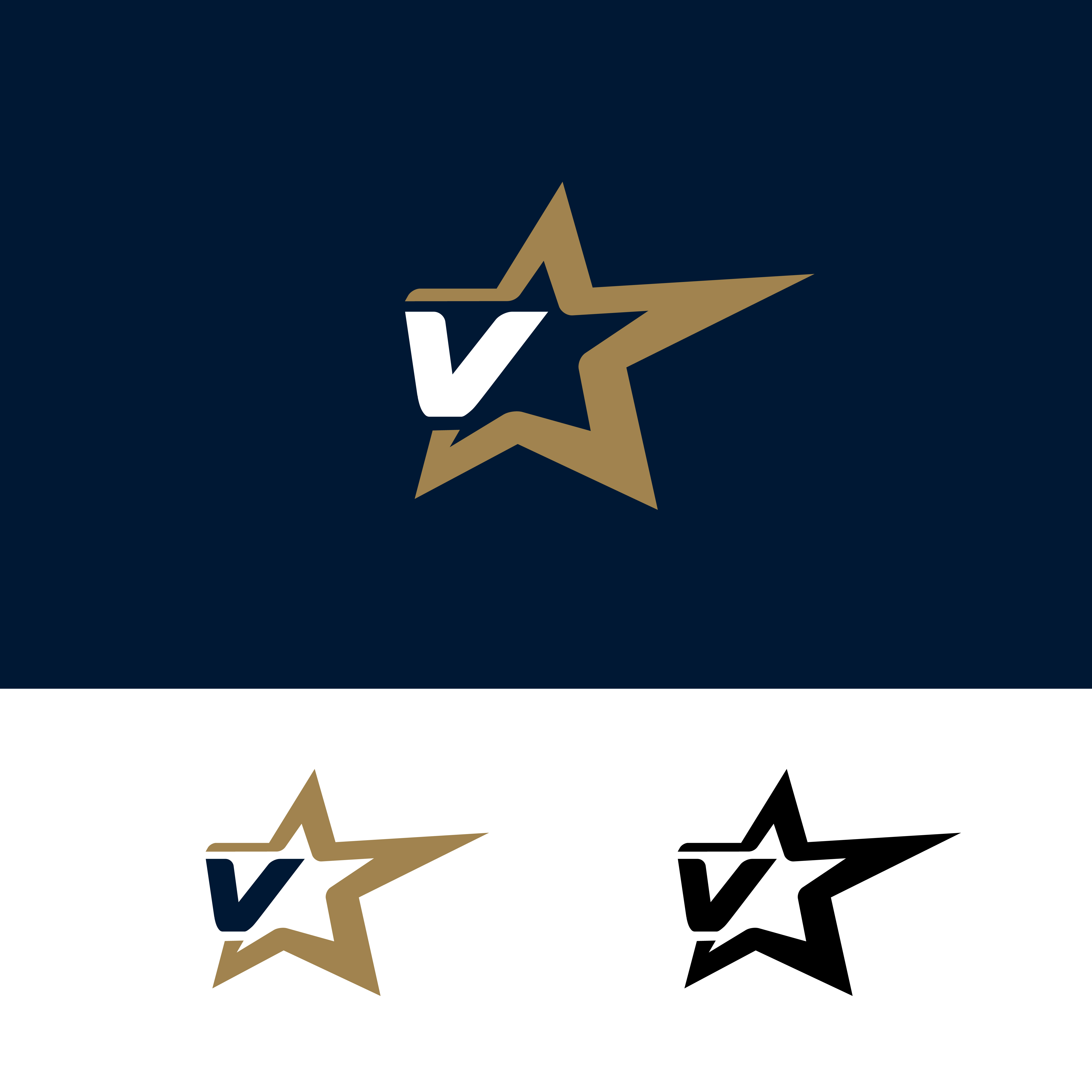 Letter V Logo Template With Star Design Element Vector Illustra Download Free Vectors Clipart Graphics Vector Art