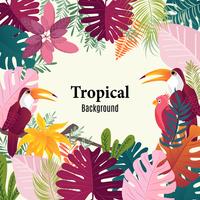Summer tropical banner palm leaves birds vector image.