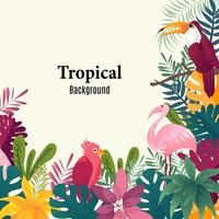 Summer tropical banner palm leaves birds vector image.