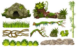 Set of jungle objects vector