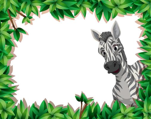 Zebra in nature frame