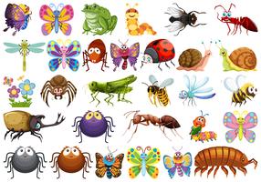 Conjunto de caracteres de insectos vector