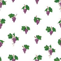 Grape branch seamless pattern. Wine yard natural fruit ornament. Food background. vector