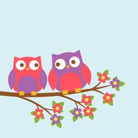 Couple of cute owls on blooming branch