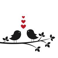 Silhouettes cute birds in Love vector