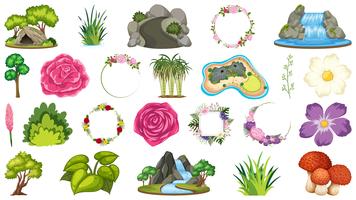 Set of ornamental plants vector