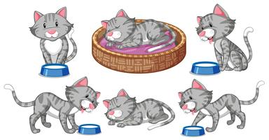Set of cat character