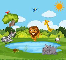 Wild animal in nature vector