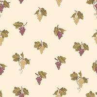 Grape branch seamless pattern. Wine yard natural fruit ornament. Food background. vector