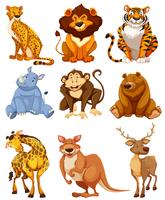 Set of wild animal character vector