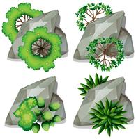 Set of nature rock and plant vector