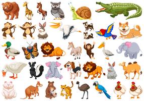 Conjunto de animales salvajes vector