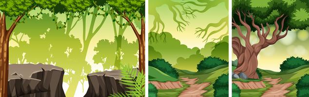 Set of nature landscape vector