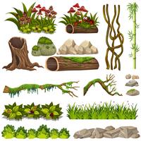 Un conjunto de elementos de la naturaleza. vector