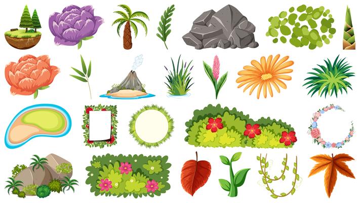Set of ornamental plants