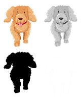 Set of poodle character