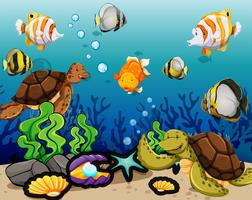 Muchos animales marinos nadando bajo el agua vector