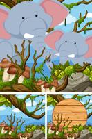 Elephants in the forest and wooden sign vector