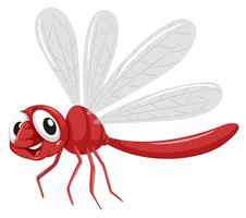 A dragonfly on white background vector