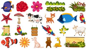 Set of animal and plant vector