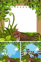 Background scenes with raccoons and paper vector