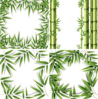 Set of bamboo frames