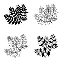 Botanical hand drawn elements vector