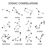 The 12 Zodiacal Constellations. vector