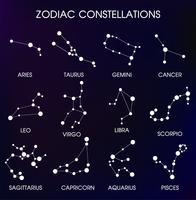 The 12 Zodiacal Constellations. vector