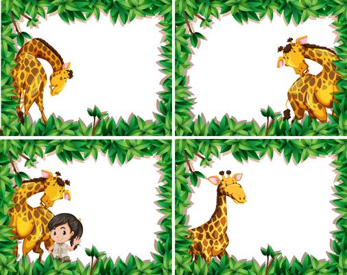 Set of giraffe in nature frame