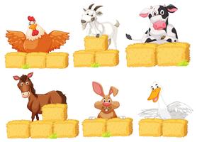 Set of farm animals vector