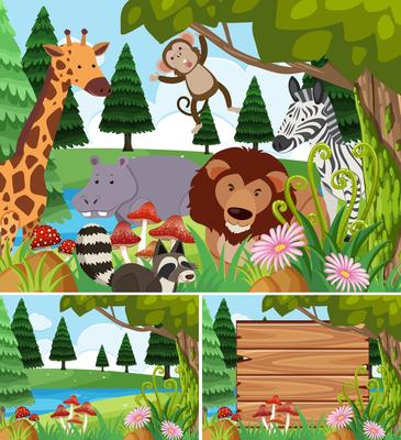 Background scenes with wild animals and board