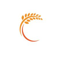 Wheat Logo Vector Art, Icons, and Graphics for Free Download