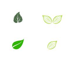 hoja verde ecología naturaleza elemento vector icono