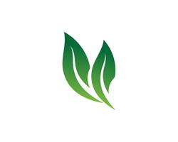 Ecology leaves logo illustration vector
