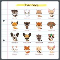 Canine illustrations with regular and scientific names vector
