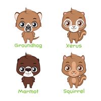 Set of squirrel animal species vector