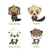 Set of various weasel species vector