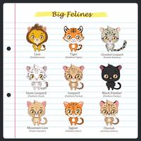 Big feline illustrations with regular and scientific names vector