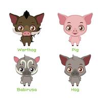 Set of pig species vector