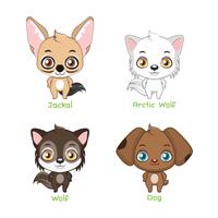 Set of canine family species vector