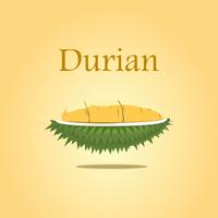 Durian design for poster vector and illustration on isolated yellow background.