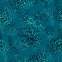 Seamless patterns. Succulents. Graphics Vector illustration.