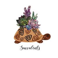A bouquet of succulents in a flower pot in the form of a turtle. Graphics and watercolor spots. Vector