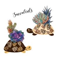 A bouquet of succulents in a flower pot in the form of a turtle. Graphics and watercolor spots. Vector.