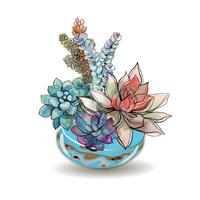 Succulents in glass aquariums. Colored sand. Flower decorative compositions. Graphics. Watercolor. Vector. vector
