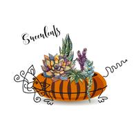 Decorative composition of succulents. In a flowerpot in the form of a striped cat. Graphics with watercolor. Vector.