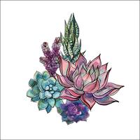 Bouquet of succulents. Flower arrangement for design. Watercolor. Graphics. Vector.