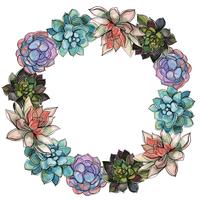 Wreath of succulents. Watercolor. Vector illustration.